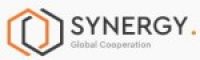 Synergy Group