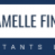 Lamelle Financial Consultants Limited