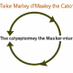 Decoding Market Cycles: Insights into Financial Market Fluctuations