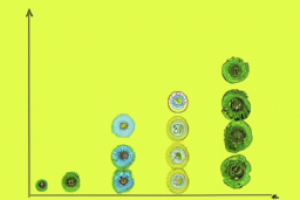 Decoding Fibonacci Retracement Levels in Trading