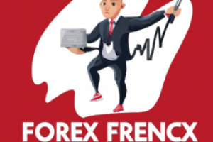 A Comprehensive Guide to Forex Brokers for New Investors